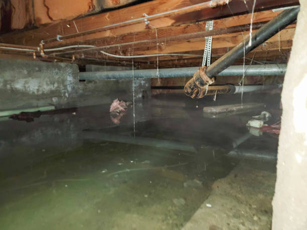 Best Water damage restoration near me  in Scottsburg, IN