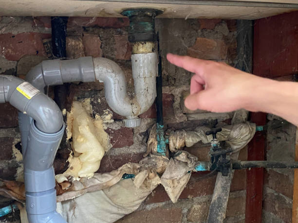 Best Professional water damage repair  in Scottsburg, IN